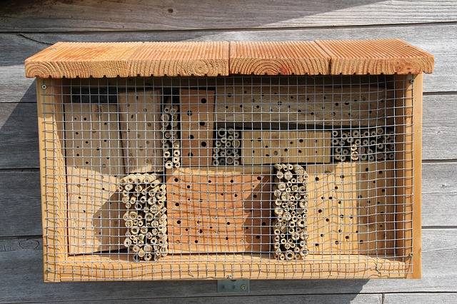 Mason Bee House