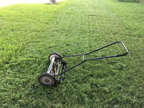 Push manual lawn mower on lawn
