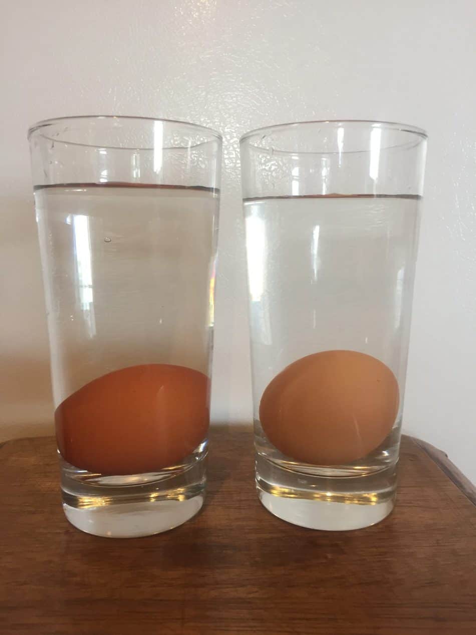 How to Know if Expired Eggs are Still Good. Use the Egg Float Test