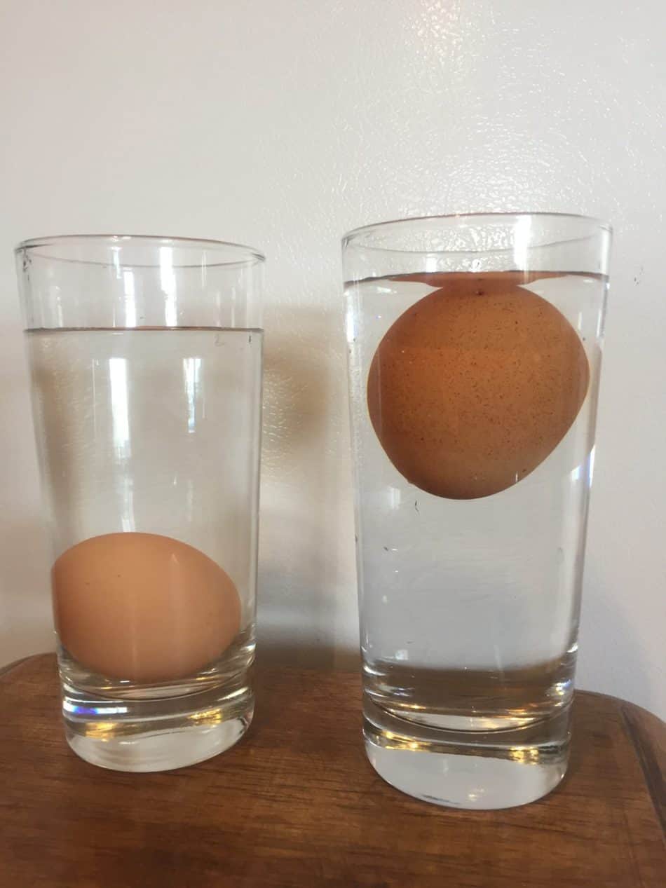 How to Know if Expired Eggs are Still Good. Use the Egg Float Test