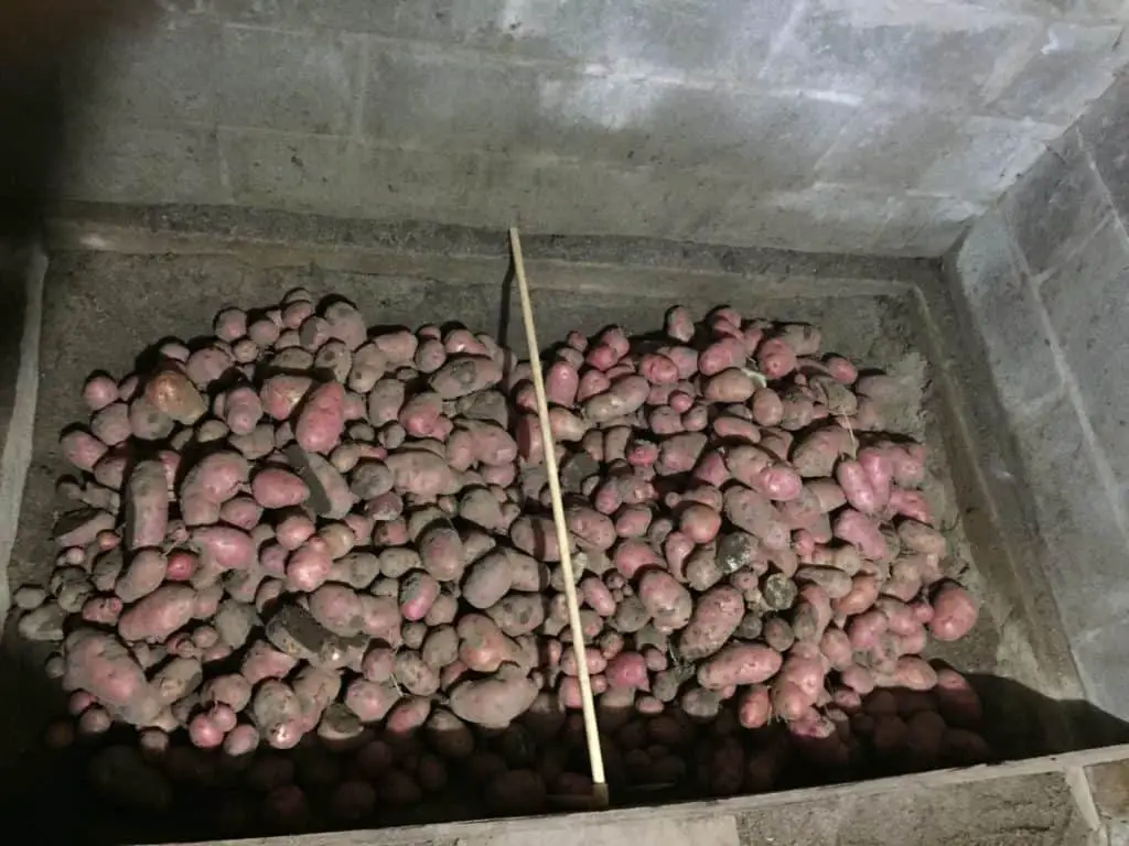 Stop stored potatoes from sprouting