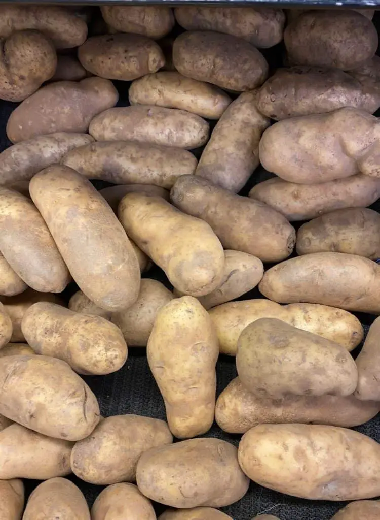 Why are Potatoes grown in Idaho?